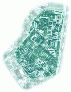 animierte Überlagerung eines Satellitenbildes mit Markierungen für Bäume, Gebäude und Straßen